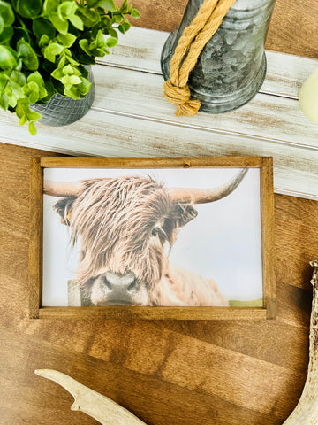 Cadre "Vache Highland"