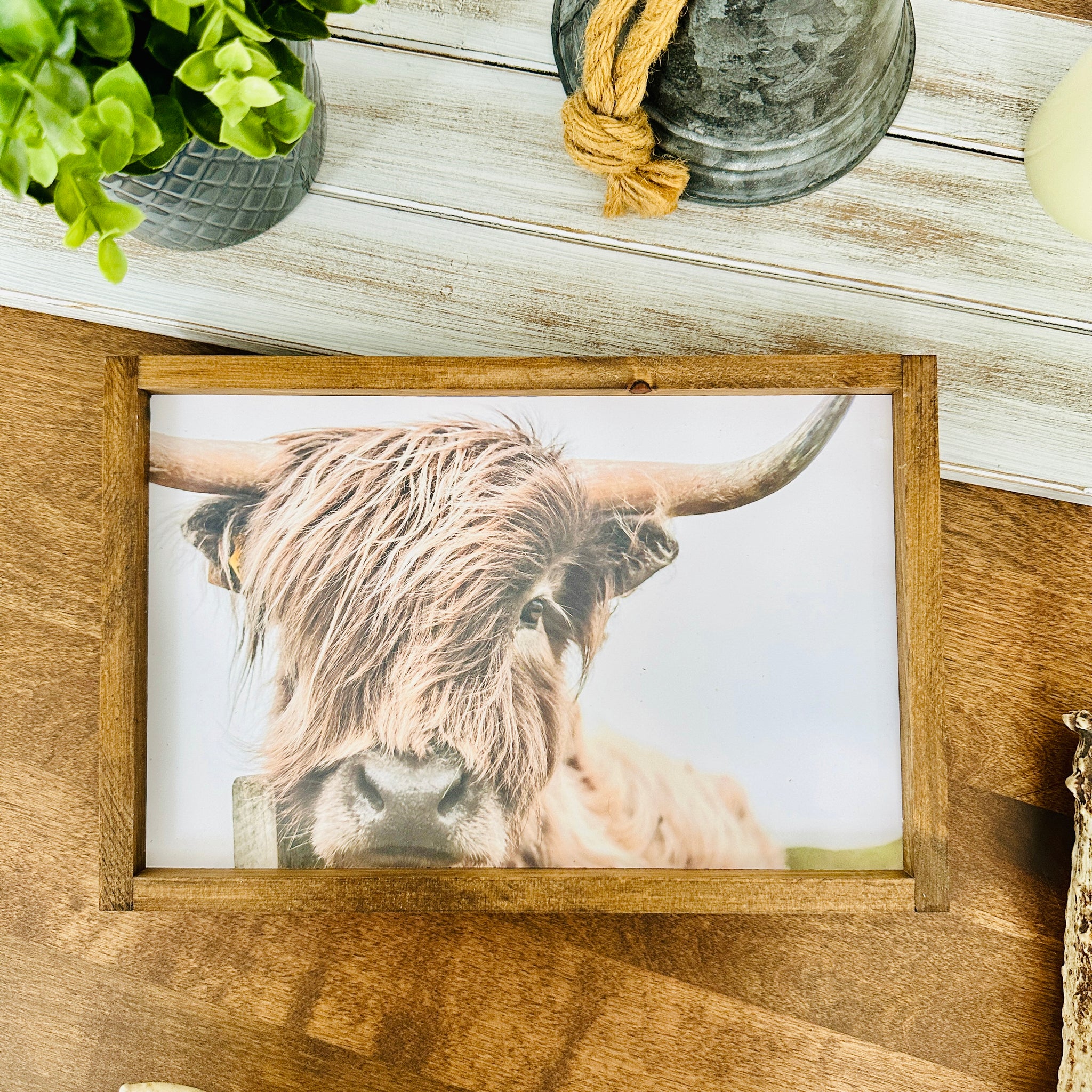 Cadre "Vache Highland"