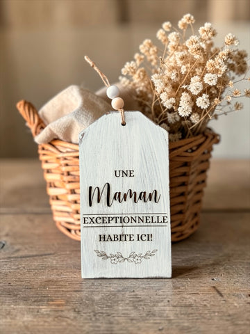 Tag "Maman exceptionnelle habite ici"